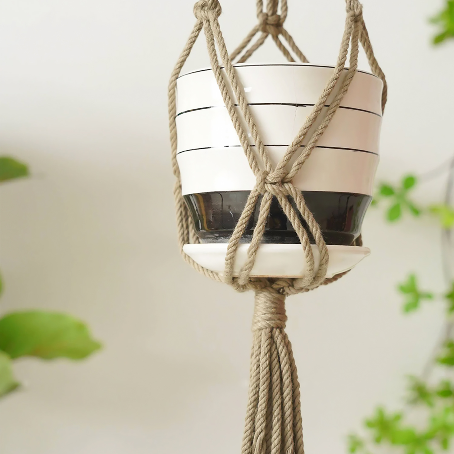 DIY Macrame Plant Pot Holder Kit